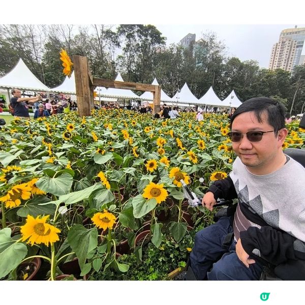 香港花卉展覽2024