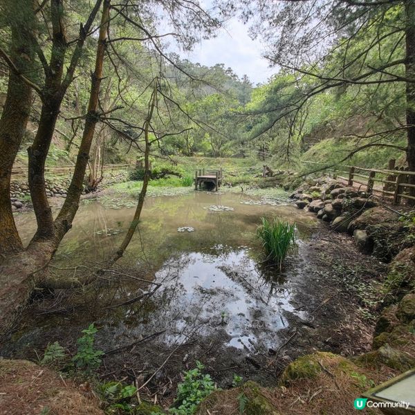 粄條～米粿～客家風情