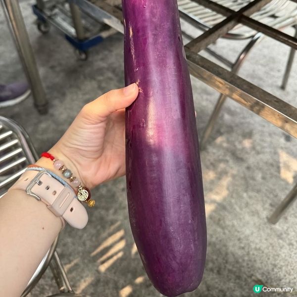 3小時任飲任食燒烤場！人氣BBQ推介 ！