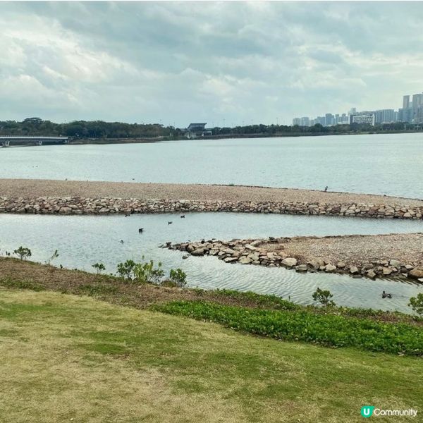 【深圳人才公園】🌿散步郊遊漫活之旅🦆