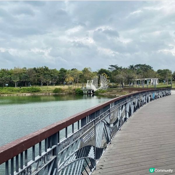 【深圳人才公園】🌿散步郊遊漫活之旅🦆