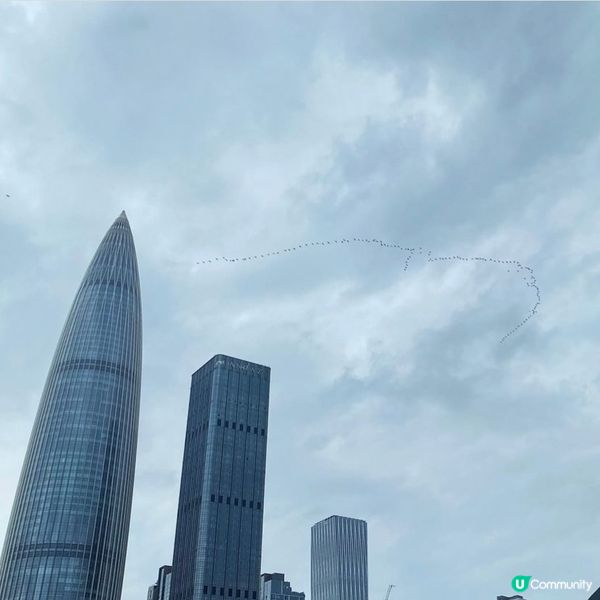 【深圳人才公園】🌿散步郊遊漫活之旅🦆