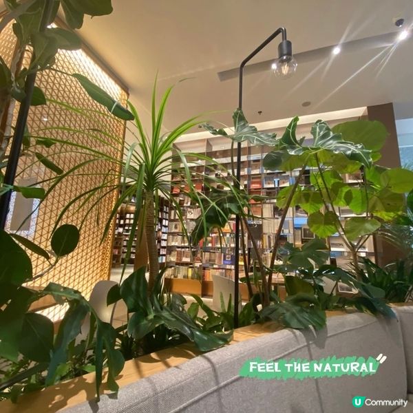 【深圳灣萬象城】書店cafe🌿¥59嘆下午茶🫖食蛋糕🍰