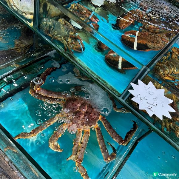 珠海白藤頭海鮮市場