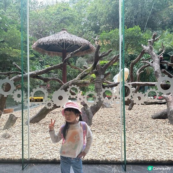 帶小朋友上廣州4日3夜