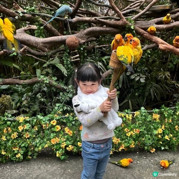 帶小朋友上廣州4日3夜