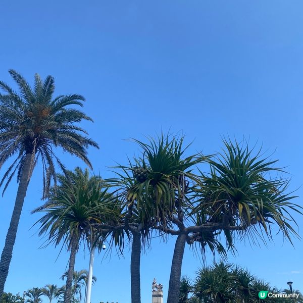 【日本沖繩】古宇利島💙擁有七種藍色的海洋和天空💙