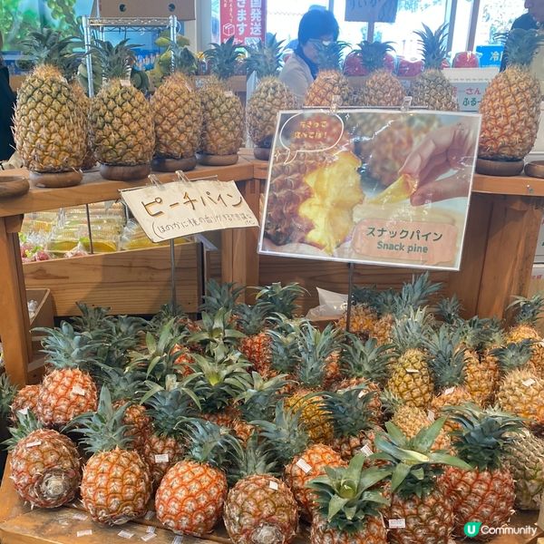 【日本沖繩】古宇利島💙擁有七種藍色的海洋和天空💙