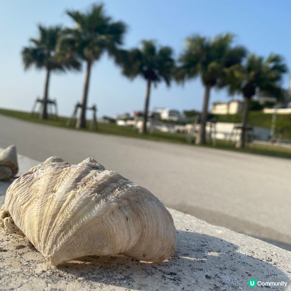 【日本沖繩】南部瀨長島🏝️感受小島風情🏝️