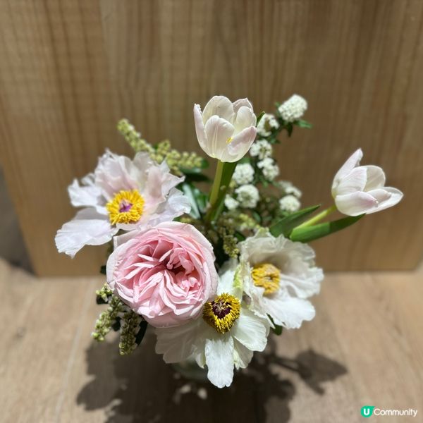 🌷Blooming Harmony 