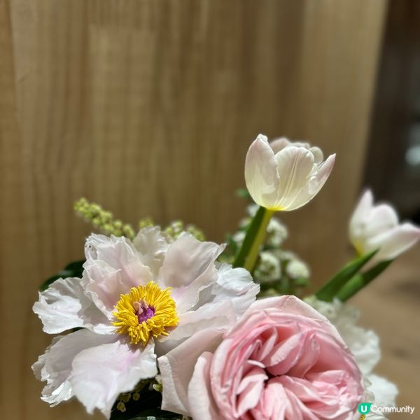 🌷Blooming Harmony 