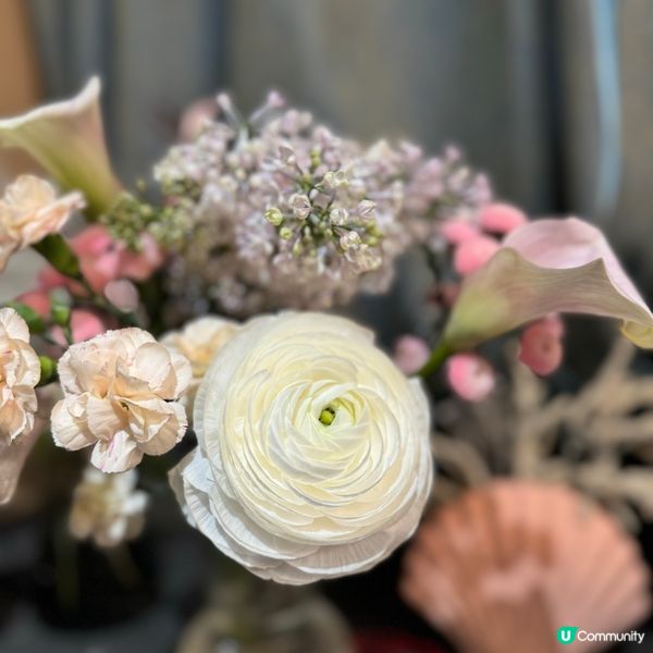 🌷Blooming Harmony 