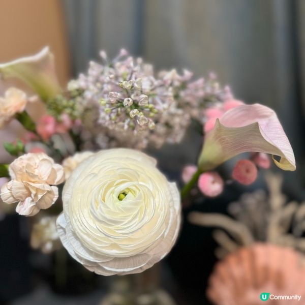 🌷Blooming Harmony 