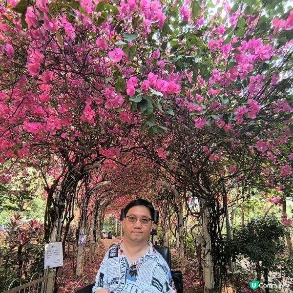 長沙灣元州邨花隧道