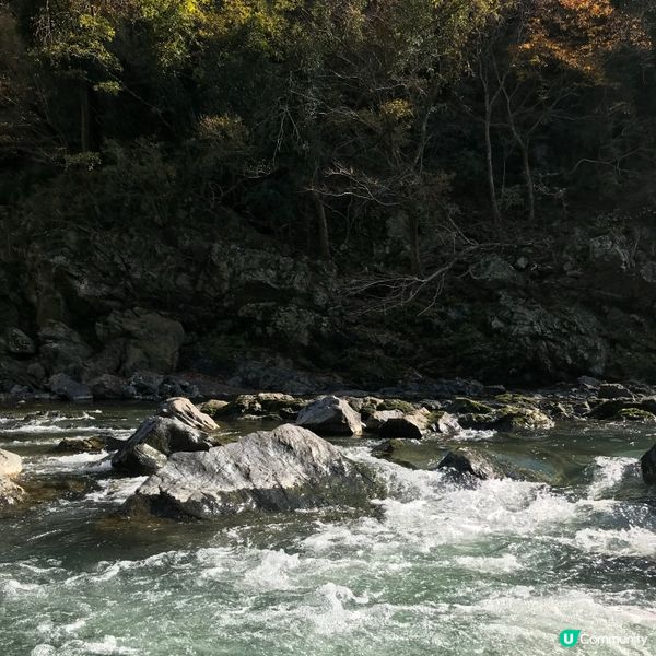 京都遊船感受古都風景