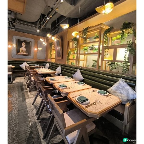 第一次食黎巴嫩菜！