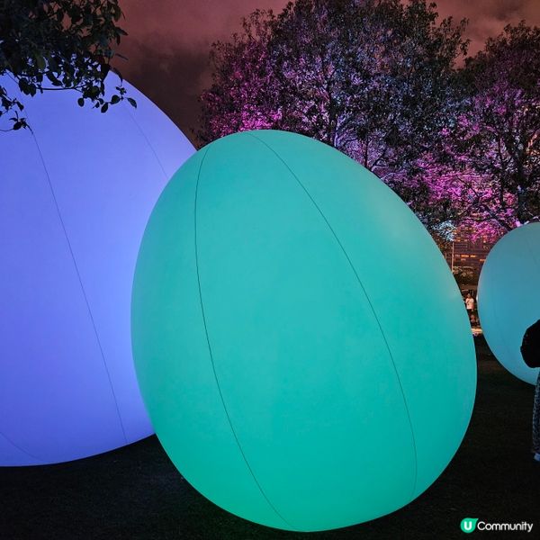 療癒之發光蛋Ovoid🤩💫