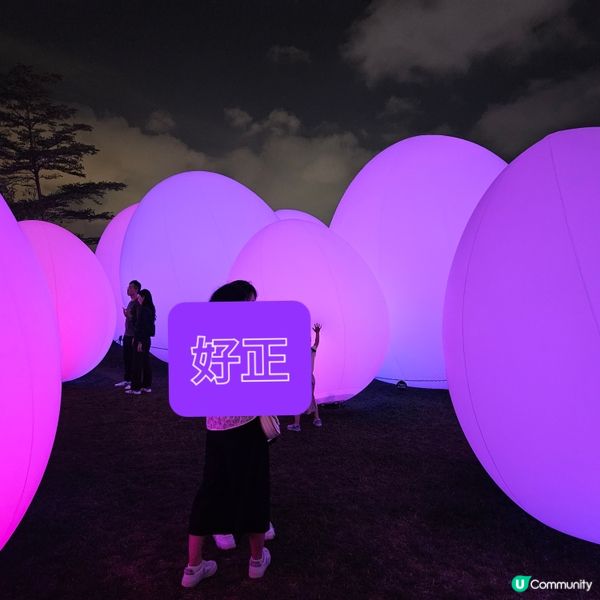 療癒之發光蛋Ovoid🤩💫