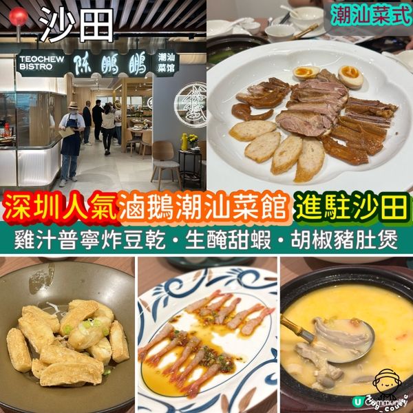 香港首間分店．深圳人氣滷鵝「陳鵬鵬潮汕菜館」進駐沙田新城市