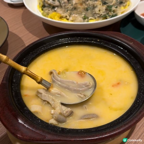 香港首間分店．深圳人氣滷鵝「陳鵬鵬潮汕菜館」進駐沙田新城市