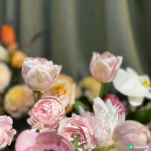 充滿仙氣嘅配色 溫柔溶化你的心