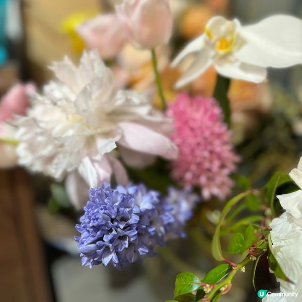 充滿仙氣嘅配色 溫柔溶化你的心