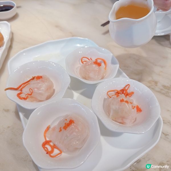 新派人氣手工粵式點心🥟
