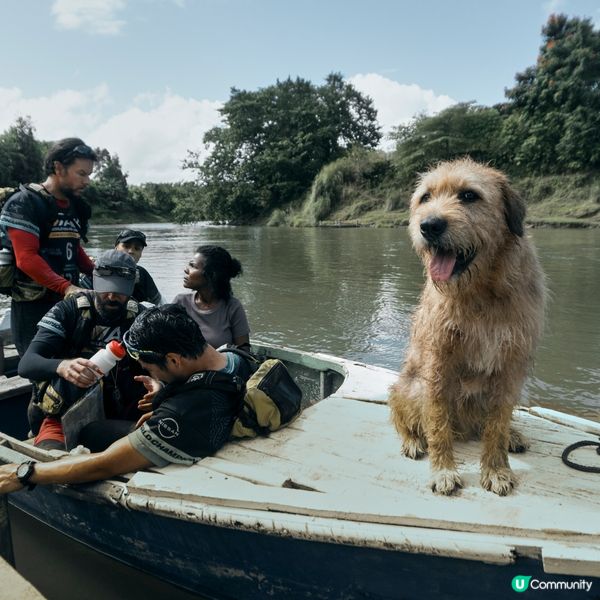 【社群請睇戲】《鐵人狗狗》優先場