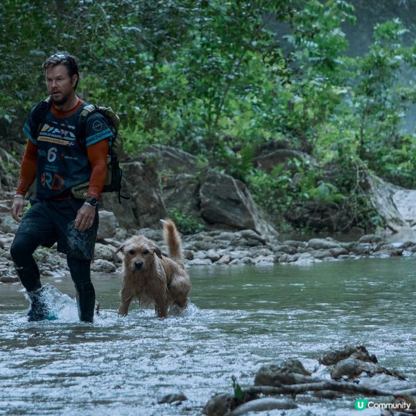 【社群請睇戲】《鐵人狗狗》優先場