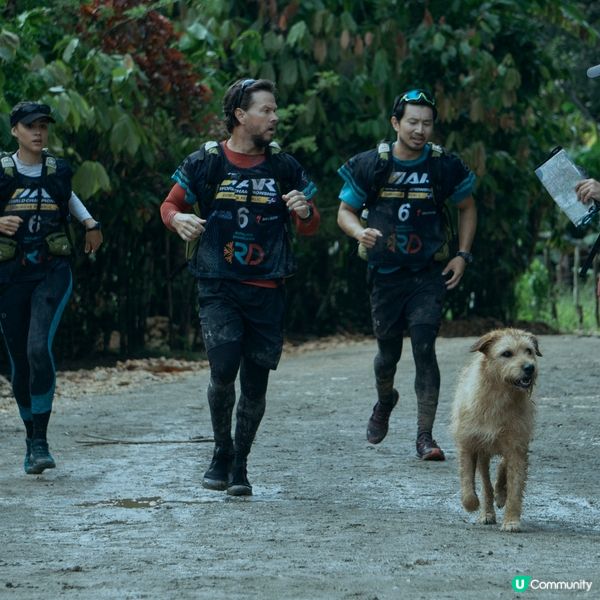 【社群請睇戲】《鐵人狗狗》優先場