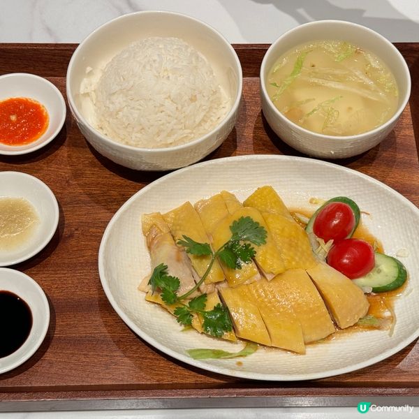 招牌海南雞飯｜南洋咖哩豬肋骨｜啟德Airside商場CHAT...