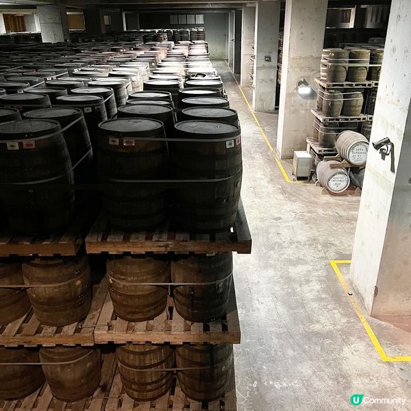 宜蘭另類新景點！