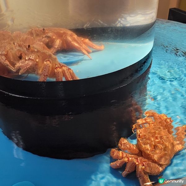 大阪蟹之名店 平食 蟹道樂套餐 蟹之盛宴 只需3200円