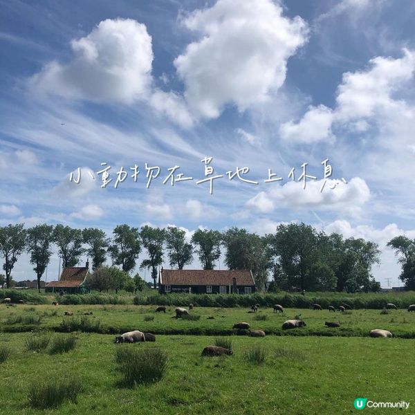 荷蘭阿姆斯特丹自由行——最美風車村【Zaanse Schans 】