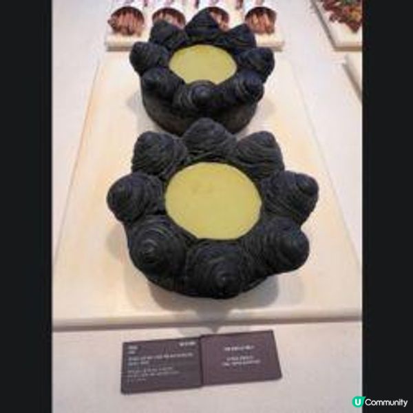 我不允許2024你還不知道首爾這間咖啡店打卡熱點-NUDAKE