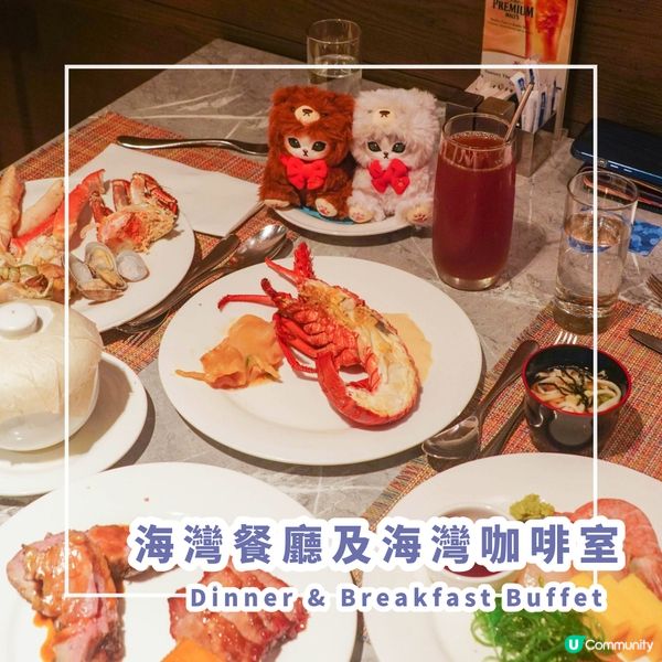 【Dinner & Breakfast Buffet】