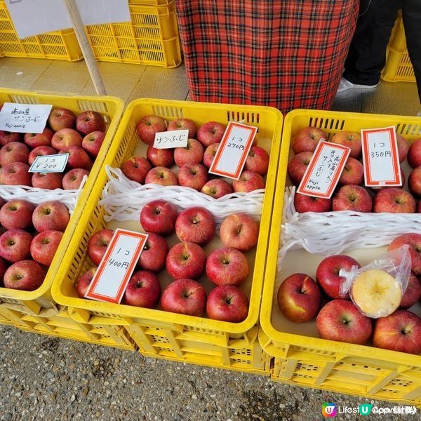 【日本靚景🏡】高山市🇯🇵白川飛驒之旅