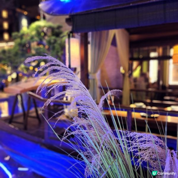 CP值極高～「綠茶餐廳」