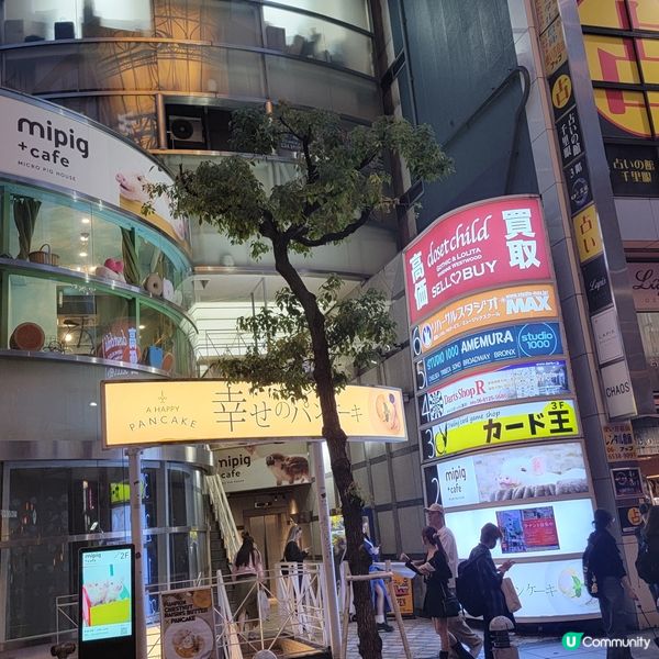 超可愛迷你豬樂園+Cafe 周圍都係豬 仲有冷熱飲品任飲