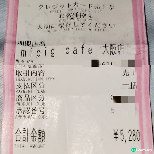超可愛迷你豬樂園+Cafe 周圍都係豬 仲有冷熱飲品任飲
