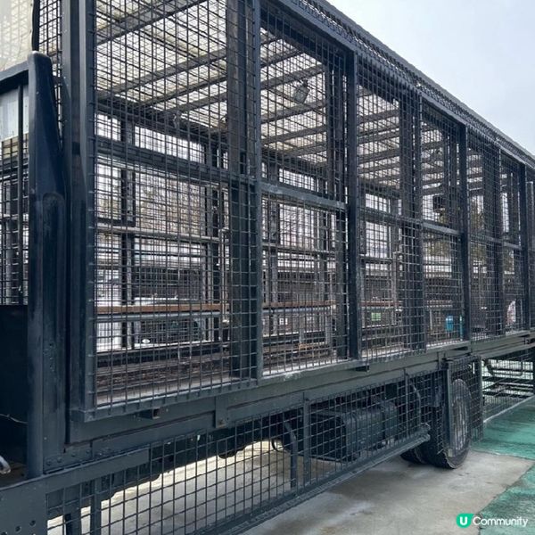 那須野生動物園更受日本當地人喜愛🤩??!