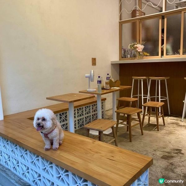 鬧市中的台灣Cafe😍必食爆餡豐富吐司🍞可愛咖啡拉花