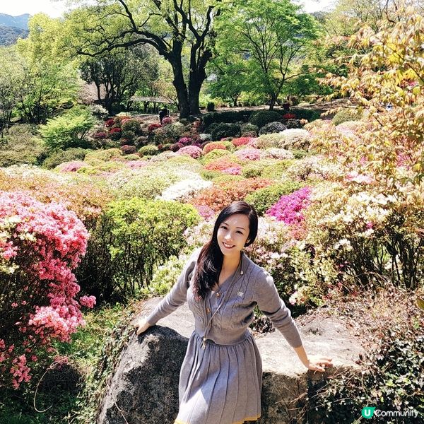 如畫布一樣的花海🌸🌺親眼見到才會相信