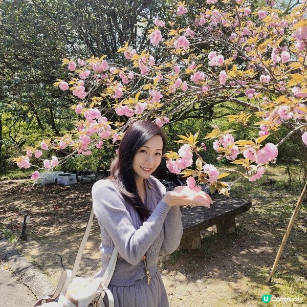 如畫布一樣的花海🌸🌺親眼見到才會相信