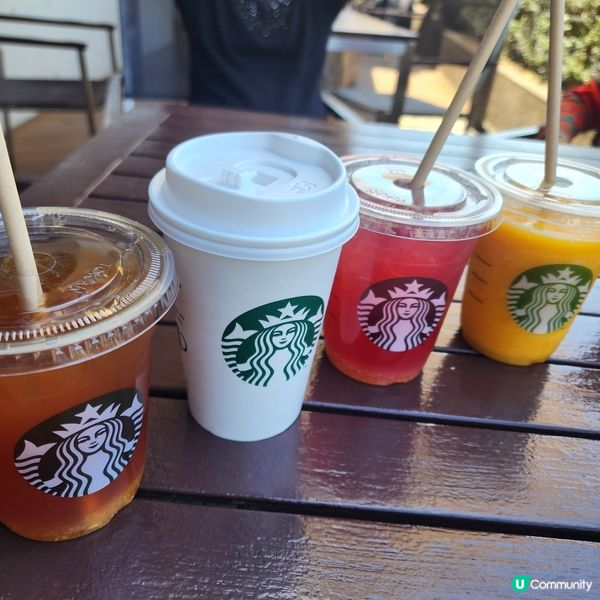 日本最美圖書館🤩日本唯一陶瓷鳥居⛩️都在這裡!!!