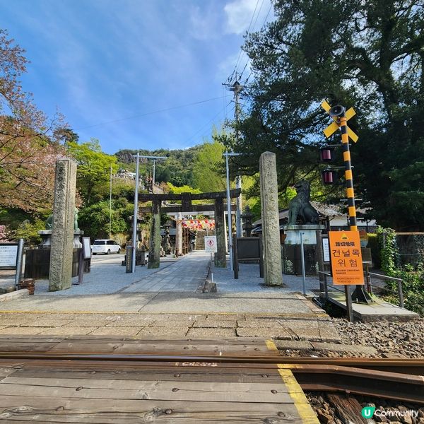 日本最美圖書館🤩日本唯一陶瓷鳥居⛩️都在這裡!!!