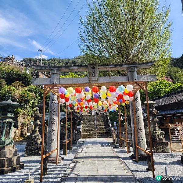 日本最美圖書館🤩日本唯一陶瓷鳥居⛩️都在這裡!!!
