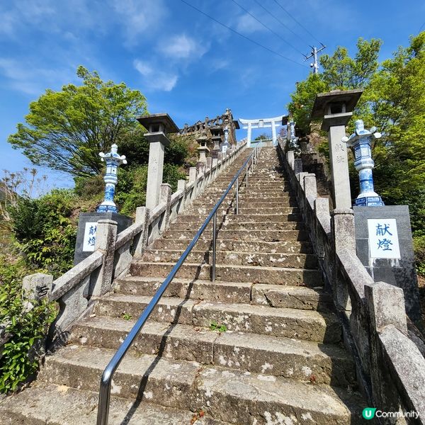 日本最美圖書館🤩日本唯一陶瓷鳥居⛩️都在這裡!!!