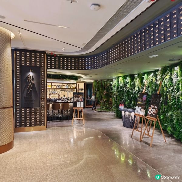 新派🤩精緻🥢中菜