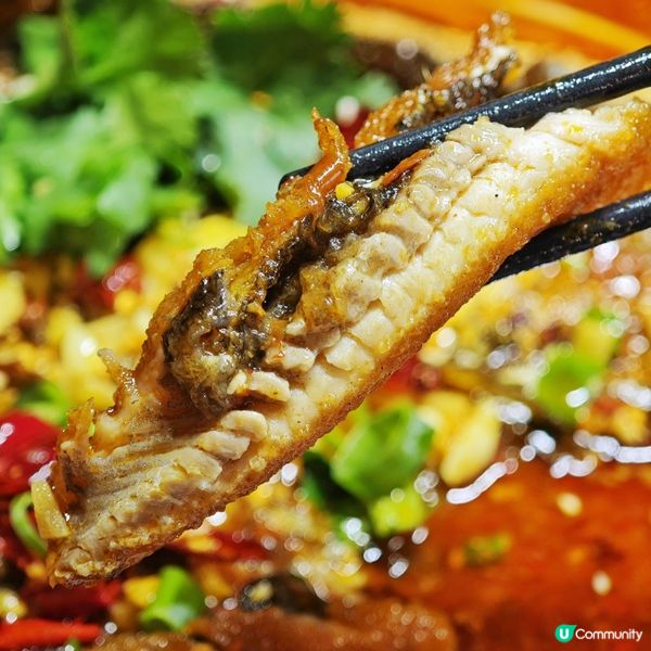 好味😋抵食👍川式🇨🇳江湖菜